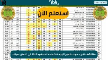 «اكتشف الآن» موعد ظهور نتيجة الشهادة الإعدادية 2025 في شمال سيناء